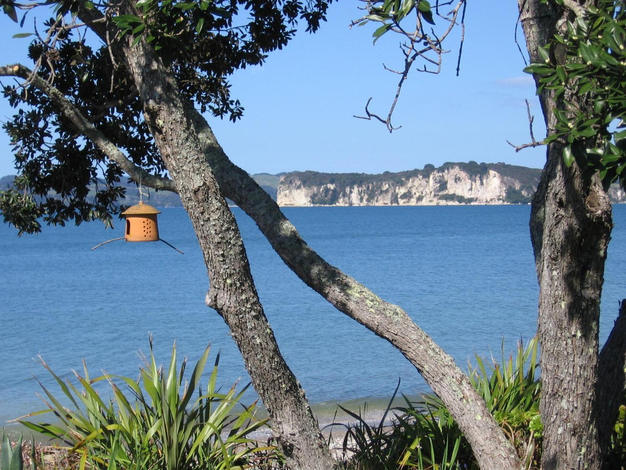 Beachfront Resort Whitianga Exterior foto